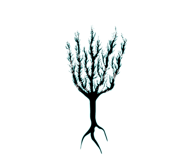 RooTgraphics
