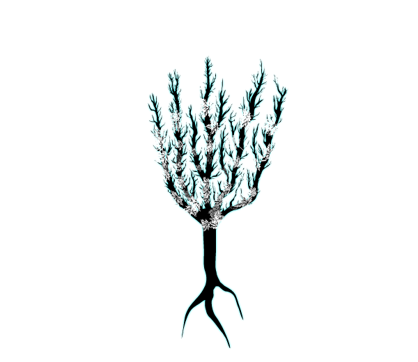 RooTgraphics